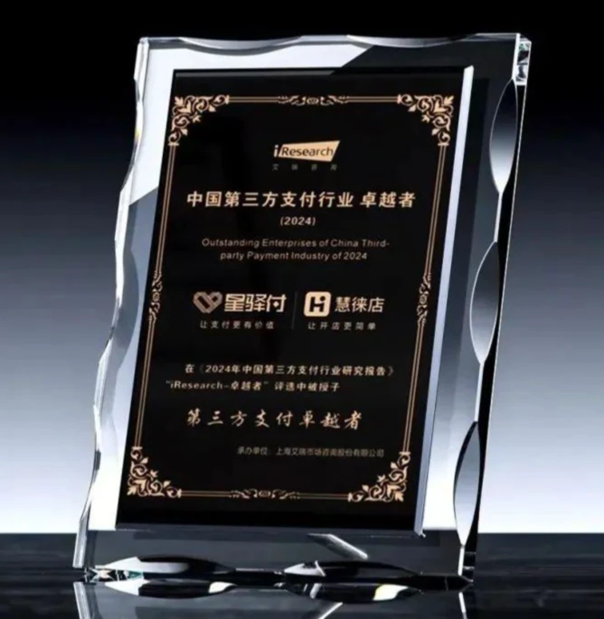 中国第三方支付行业卓越者.png